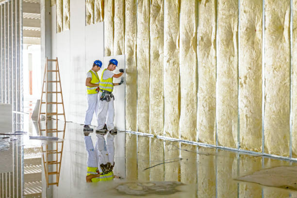 Eco-Friendly or Green Insulation Solutions in Indian River Estates, FL